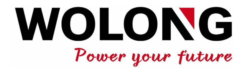 wolong outboard engines